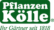 Pflanzen Kölle